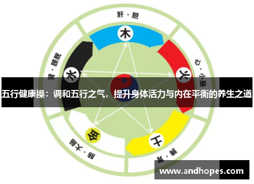 五行健康操：调和五行之气，提升身体活力与内在平衡的养生之道